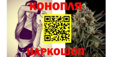 скорость Новозыбков