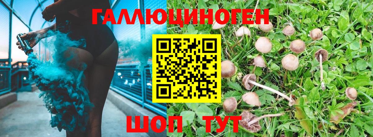 Галлюциногенные грибы мухоморы Курск