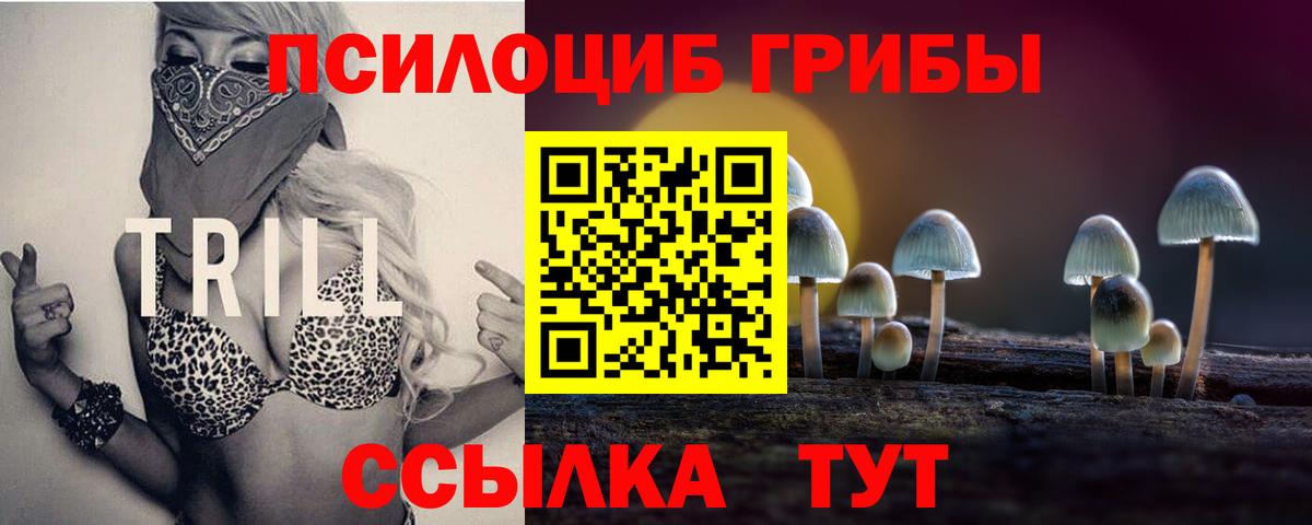 Курск  Псилоцибиновые грибы Psilocybe  Вход с VPN  Галлюциногенные грибы мицелий 